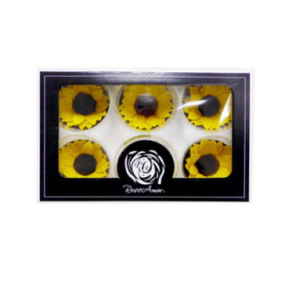 GIRASOL PRESERVADO AMARILLO X61