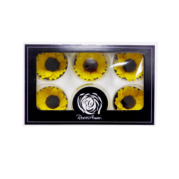 GIRASOL PRESERVADO AMARILLO X61
