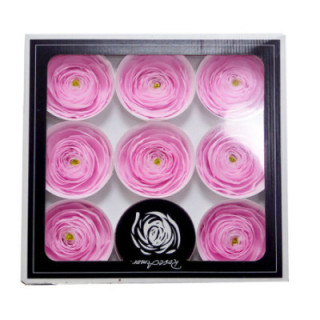 RANUNCULO CLONI PRESERVADO PINK X91