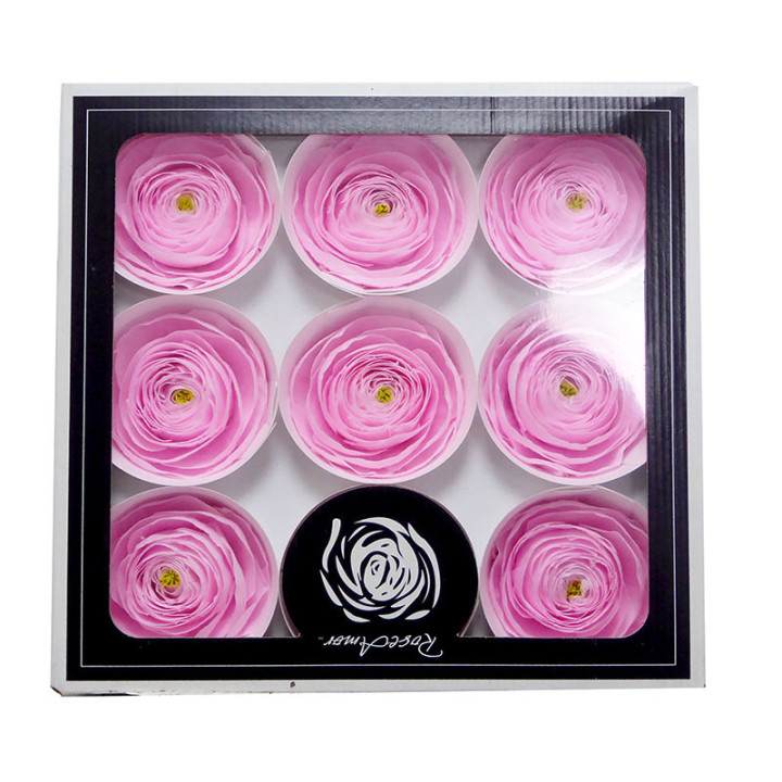 RANUNCULO CLONI PRESERVADO PINK X91