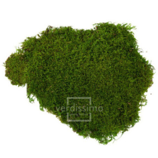 MUSGO PLANO PRESERVADO 2.5KG MOU/21001