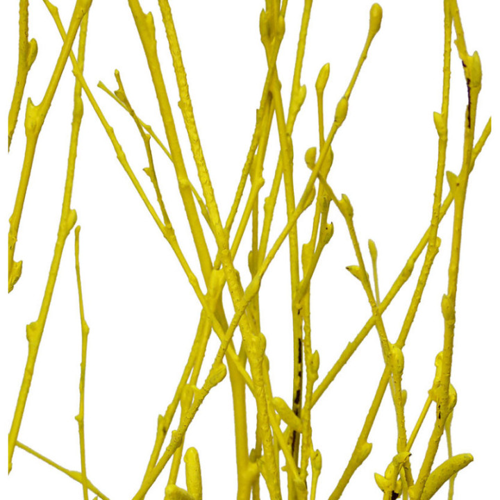 BERK AMARILLO1