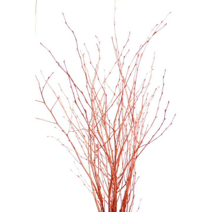 BERK COBRE1