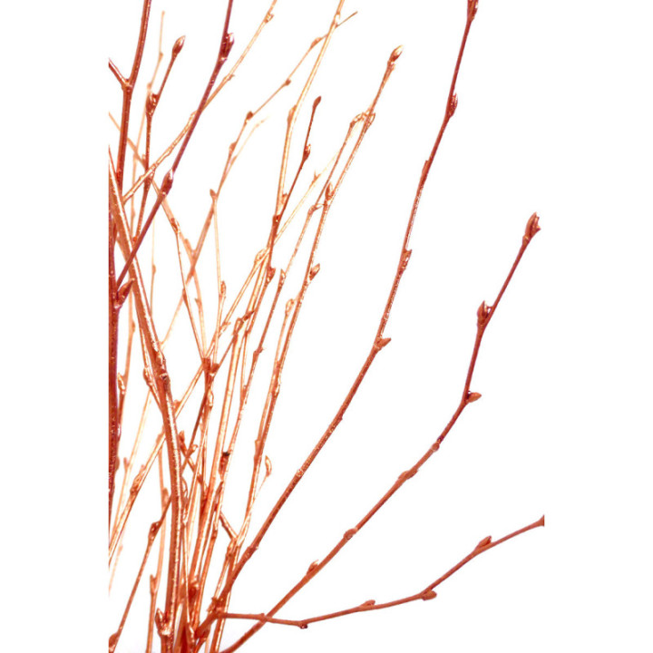BERK COBRE2