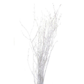 BERK PLATA1