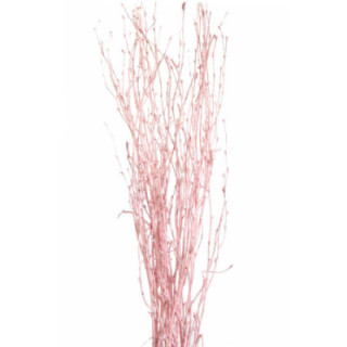 BERK ROSA1