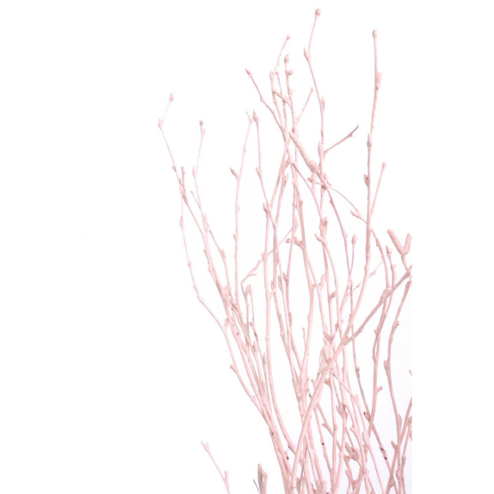 BERK ROSA3